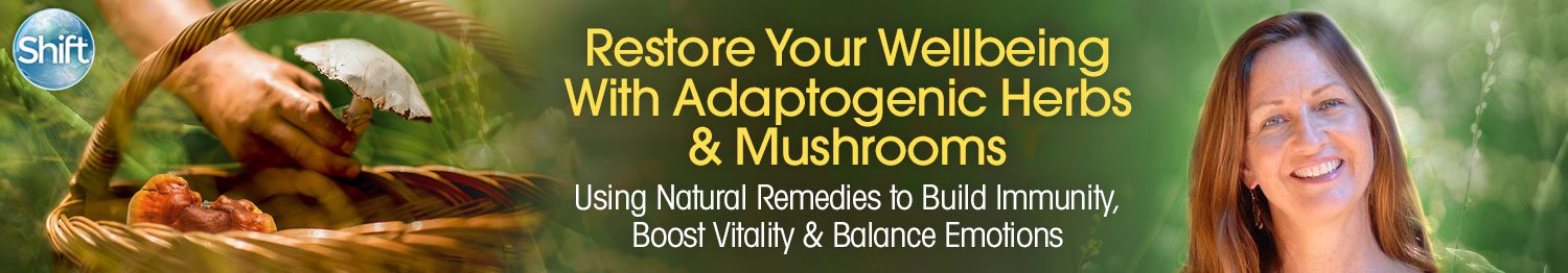 Restore Your Wellbeing Using Adaptogenic Herbs & Mushrooms 2022
