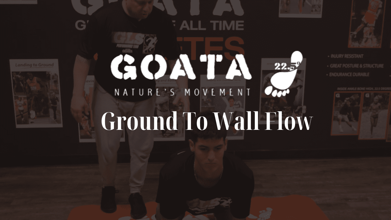 GOATA - Ground To Wall Flow1